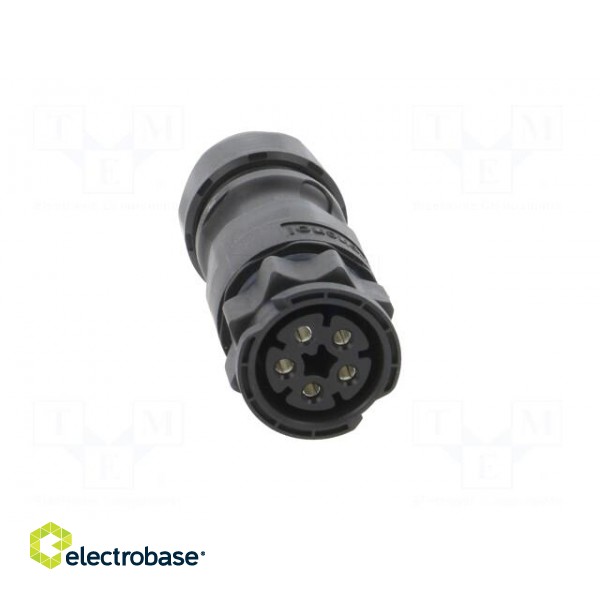 Connector: circular | plug | for cable | PIN: 5 | female | with contacts image 9