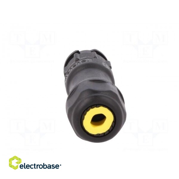 Connector: circular | male | plug | crimped | PIN: 12 | 22AWG÷20AWG | IP68 image 5