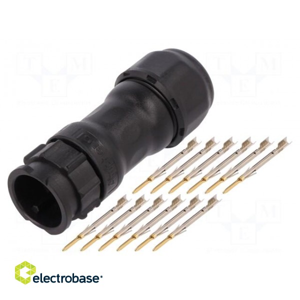 Connector: circular | male | plug | crimped | PIN: 12 | 22AWG÷20AWG | IP68 фото 1