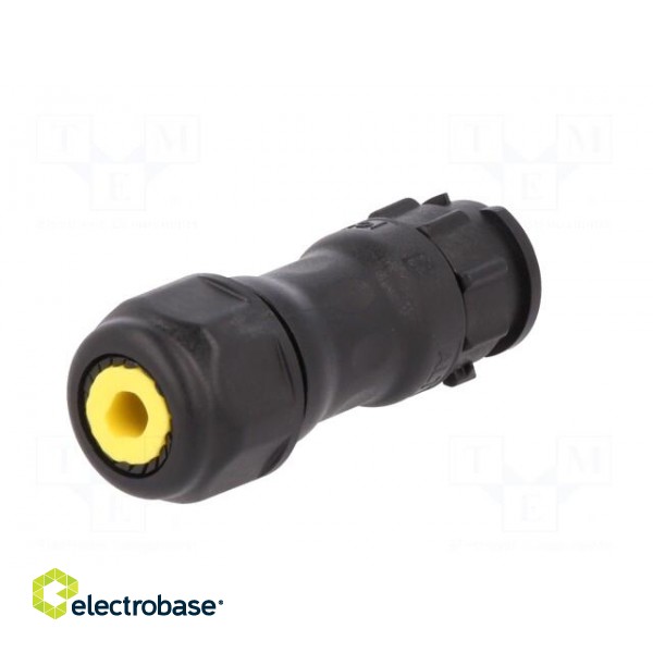 Connector: circular | male | plug | crimped | PIN: 12 | 22AWG÷20AWG | IP68 image 6
