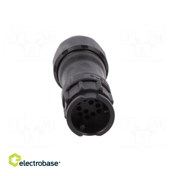 Connector: circular | male | plug | crimped | PIN: 12 | 22AWG÷20AWG | IP68 фото 9