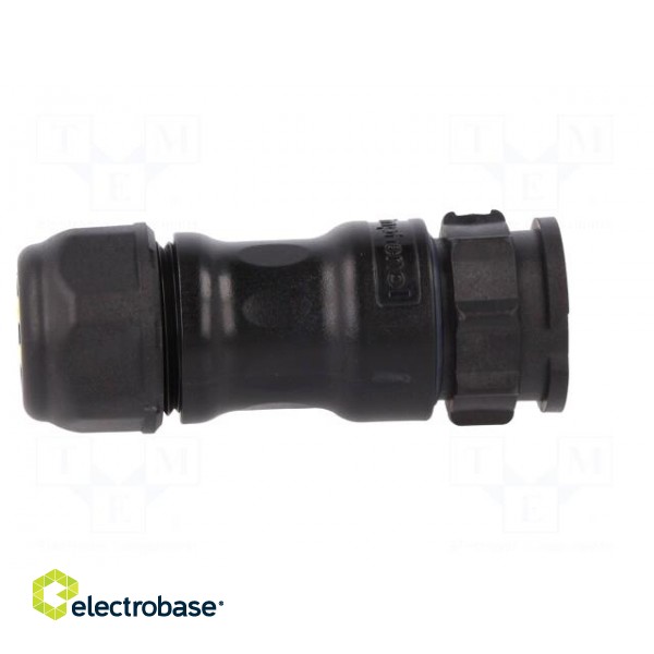 Connector: circular | plug | for cable | PIN: 18 | male | with contacts image 7