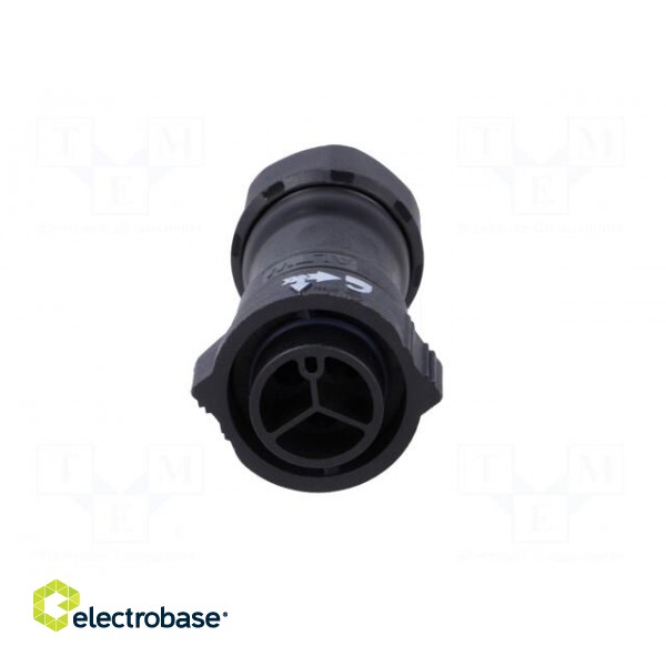 Connector: circular | plug | for cable | PIN: 3 | male | with contacts image 9