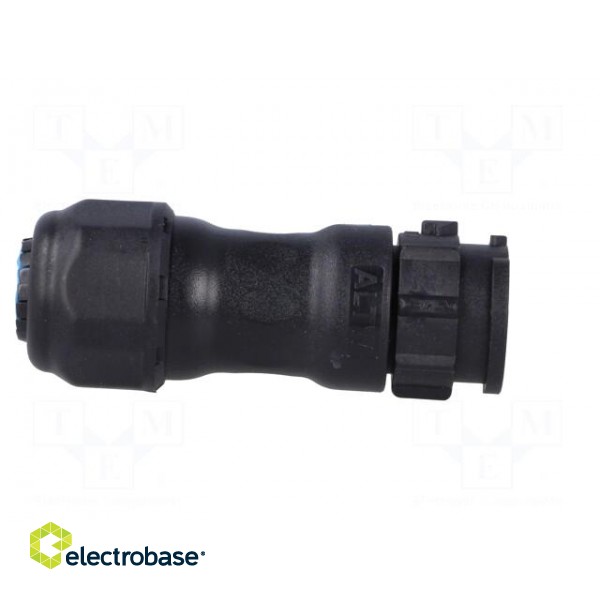 Connector: circular | male | plug | crimped | PIN: 3 | 14AWG÷12AWG | IP68 image 7