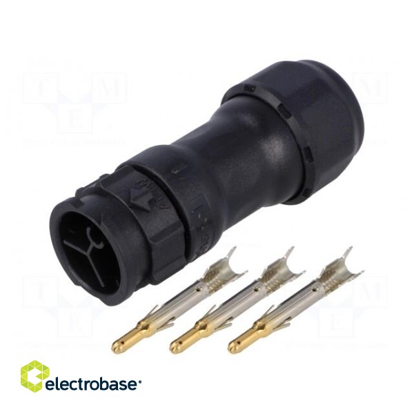 Connector: circular | male | plug | crimped | PIN: 3 | 14AWG÷12AWG | IP68 image 1