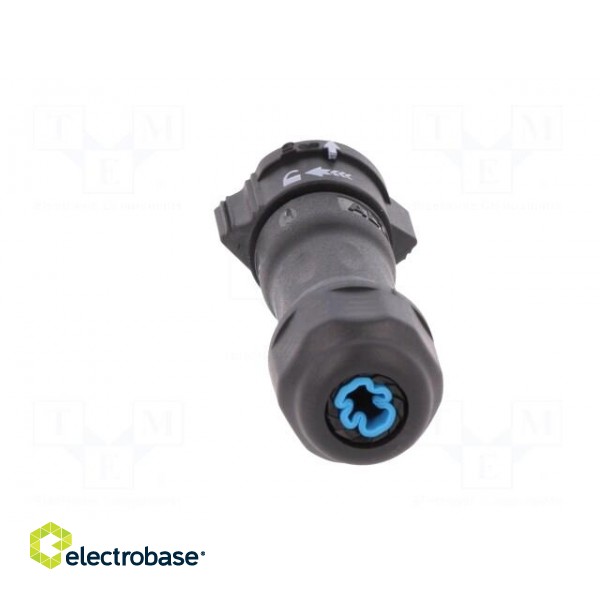 Connector: circular | male | plug | crimped | PIN: 3 | 18AWG÷16AWG | IP68 image 5