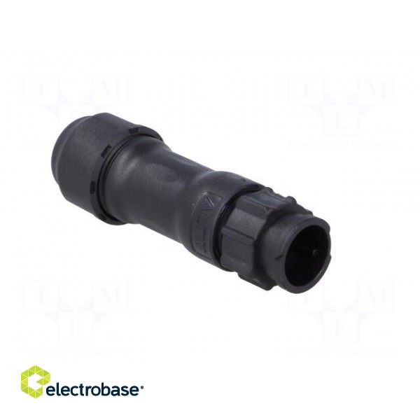 Connector: circular | male | plug | crimped | PIN: 4 | 18AWG÷16AWG | IP68 image 8