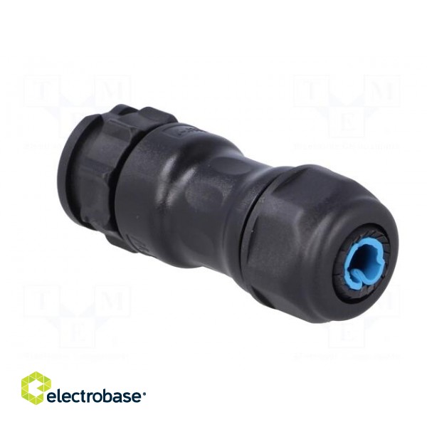 Connector: circular | male | plug | crimped | PIN: 5 | 14AWG÷12AWG | IP68 image 4