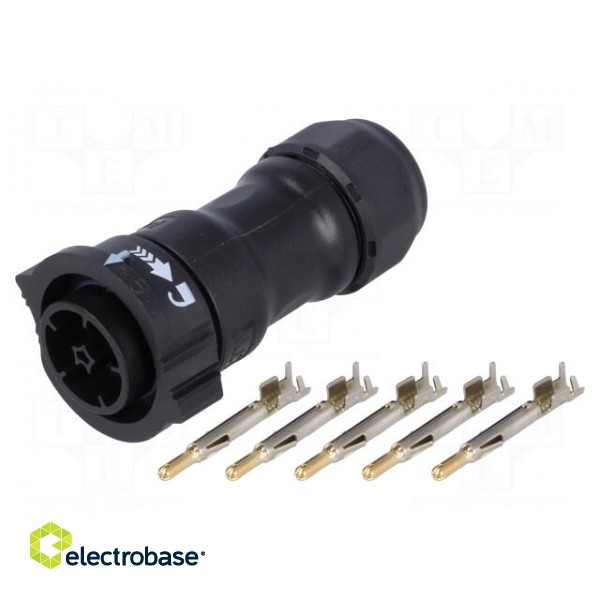 Connector: circular | male | plug | crimped | PIN: 5 | 14AWG÷12AWG | IP68 image 1