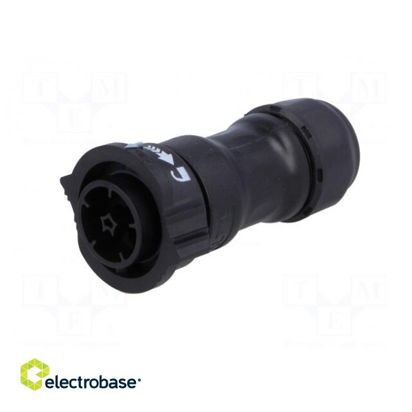 Connector: circular | plug | for cable | PIN: 5 | male | with contacts image 2