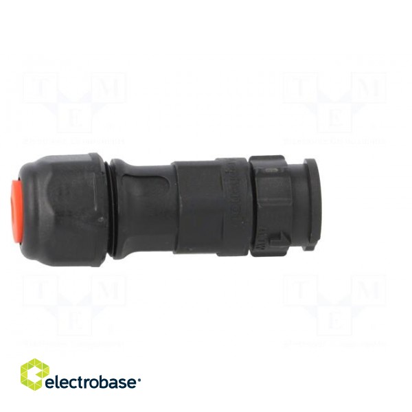 Connector: circular | plug | for cable | PIN: 3 | male | with contacts image 7