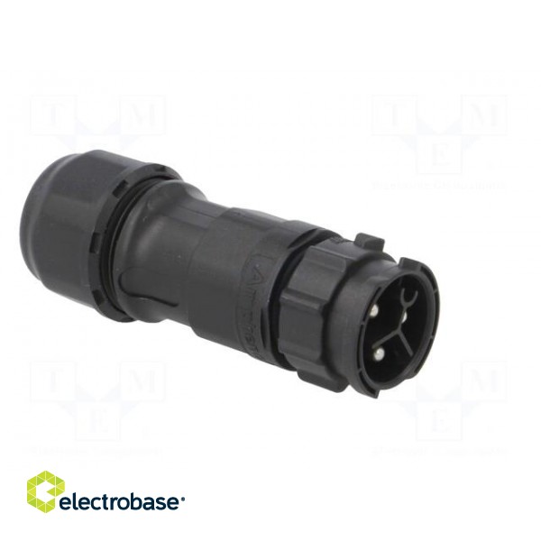 Connector: circular | plug | for cable | PIN: 3 | male | with contacts image 8
