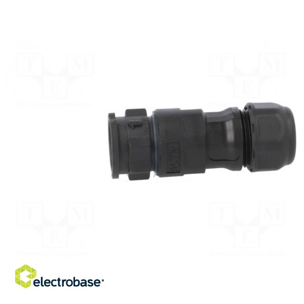 Connector: circular | plug | for cable | PIN: 5 | male | with contacts image 3