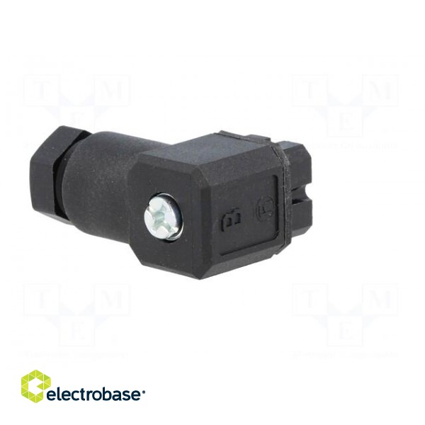 Connector: square | Series: G | plug | female | PIN: 4 | tinned | IP65 | 50V image 6
