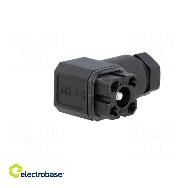 Connector: rectangular | G | plug | female | PIN: 4 | tinned | IP65 | black image 8