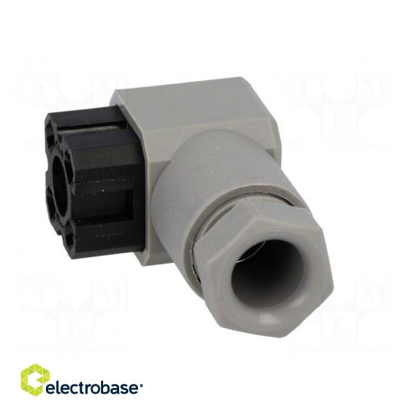Connector: square | Series: G | plug | female | PIN: 4 | tinned | IP65 | 50V фото 3