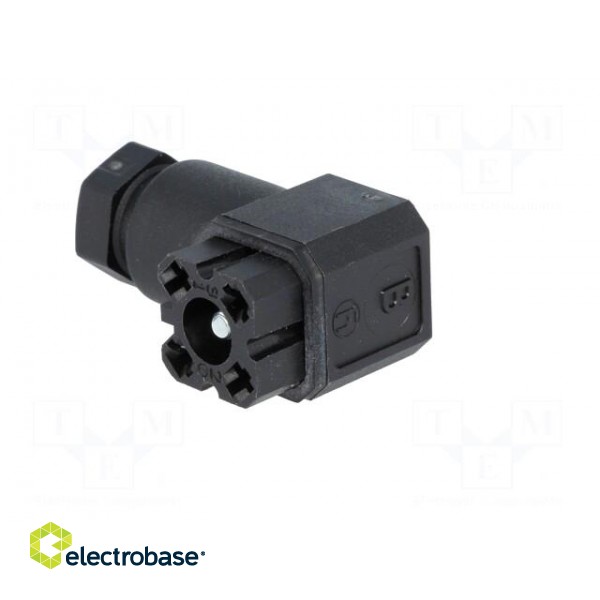 Connector: rectangular | G | plug | female | PIN: 4 | tinned | IP65 | black image 4