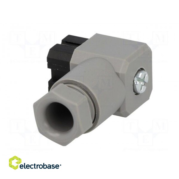 Connector: square | Series: G | plug | female | PIN: 4 | tinned | IP65 | 50V image 4