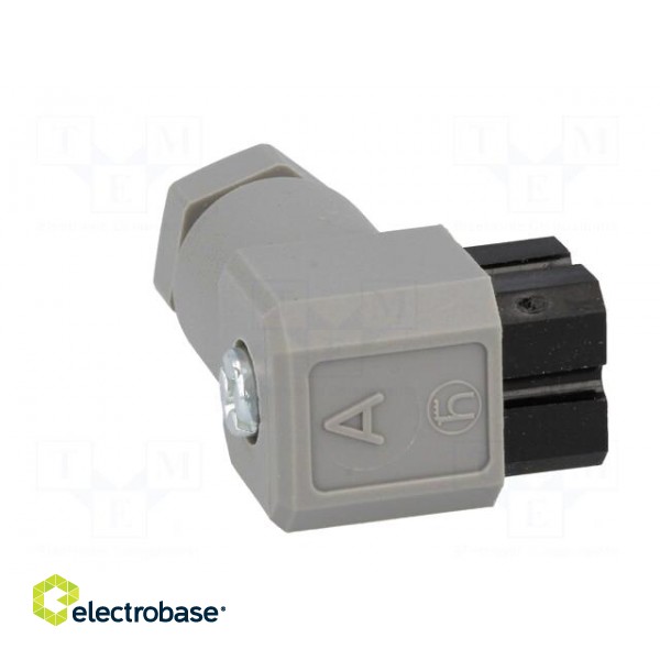 Connector: rectangular | G | plug | female | PIN: 4 | tinned | IP65 | grey image 7