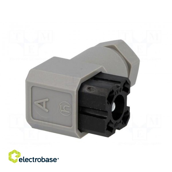 Connector: rectangular | G | plug | female | PIN: 4 | tinned | IP65 | grey image 8