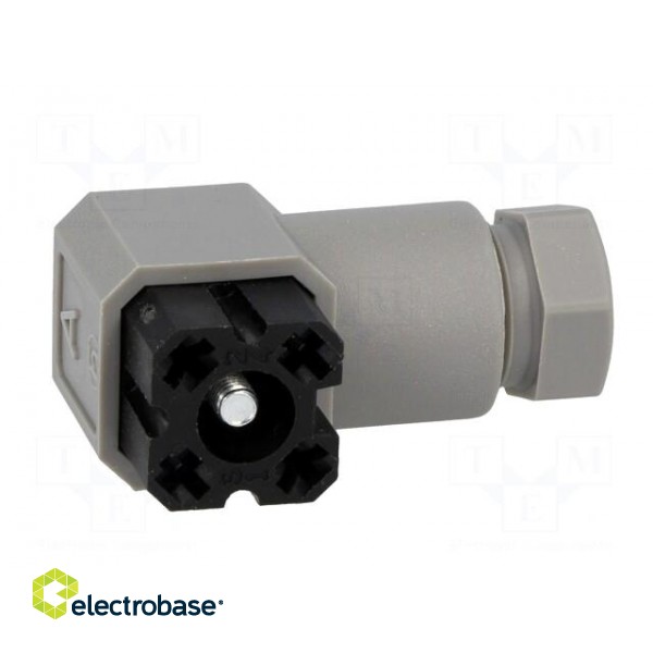 Connector: rectangular | G | plug | female | PIN: 4 | tinned | IP65 | grey image 9