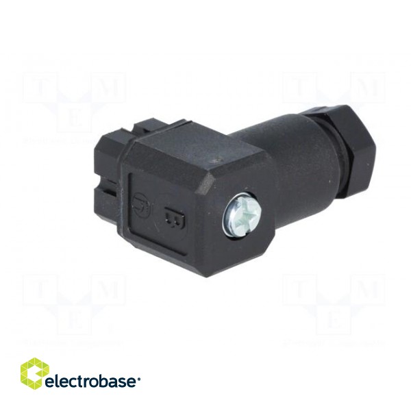 Connector: rectangular | G | plug | female | PIN: 4 | tinned | IP65 | black image 6