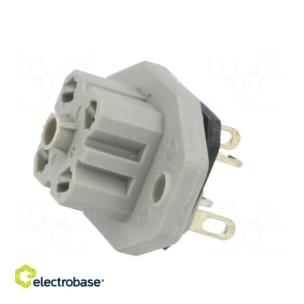 Connector: rectangular | G | socket | female | PIN: 4 | tinned | IP65 | grey image 3