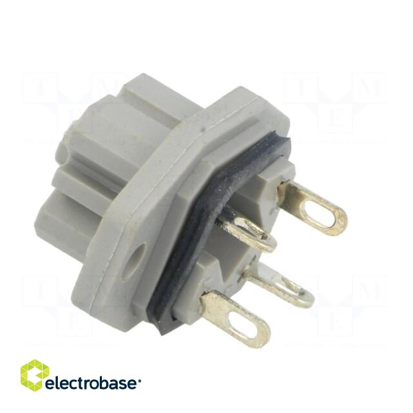 Connector: rectangular | G | socket | female | PIN: 4 | tinned | IP65 | grey image 4