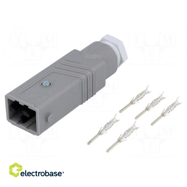 Connector: rectangular | ST | plug | male | PIN: 5 | silver plated | IP54 paveikslėlis 1