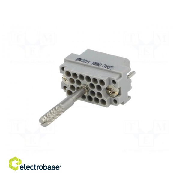 Connector: rectangular | plug | hermaphrodite | Mat: polycarbonate image 6