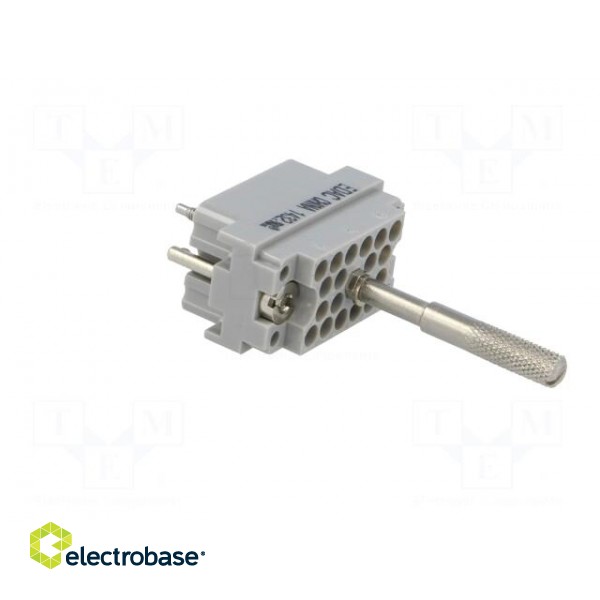 Connector: rectangular | plug | hermaphrodite | Mat: polycarbonate image 4