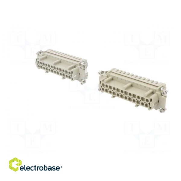 Connector: HDC | contact insert | female | DE | PIN: 48 | 48+PE | 16A | 500V paveikslėlis 2