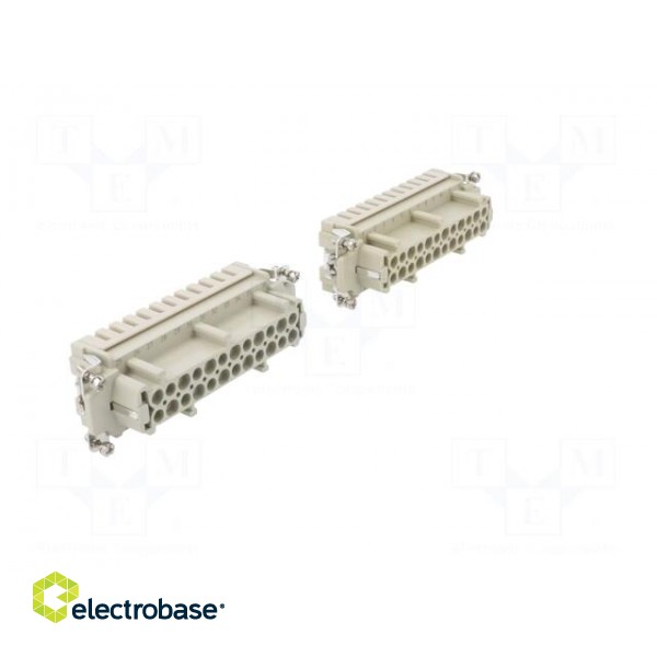 Connector: HDC | contact insert | female | DE | PIN: 48 | 48+PE | 16A | 500V image 8