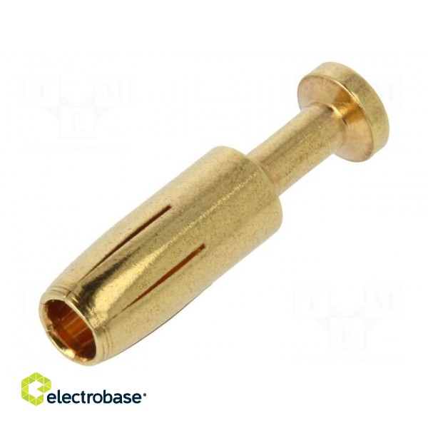 Contact | female | 1.5mm2 | 16AWG | gold-plated | crimped | bulk | 40A