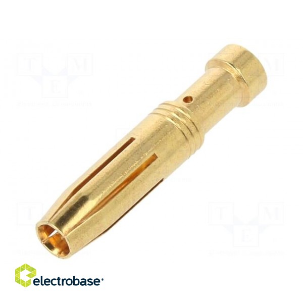 Contact | female | 2.5mm2 | 14AWG | gold-plated | crimped | bulk | 16A