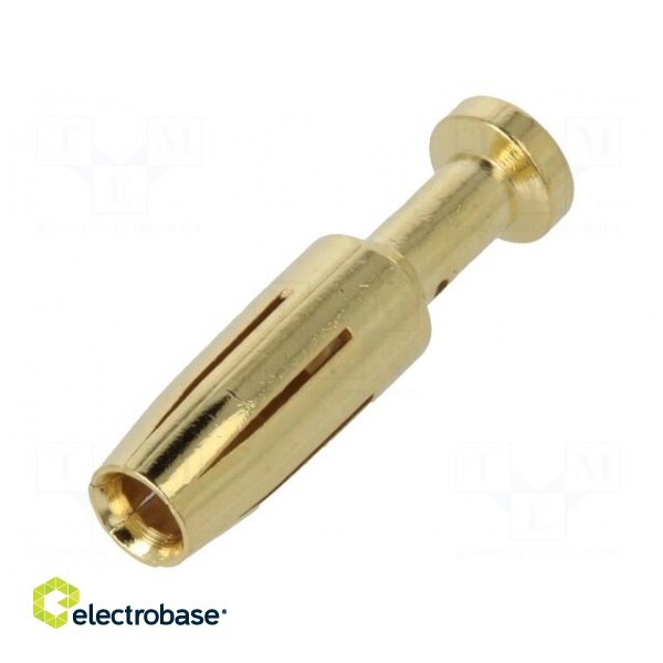 Contact | female | 2.5mm2 | 14AWG | gold-plated | crimped | bulk | 40A