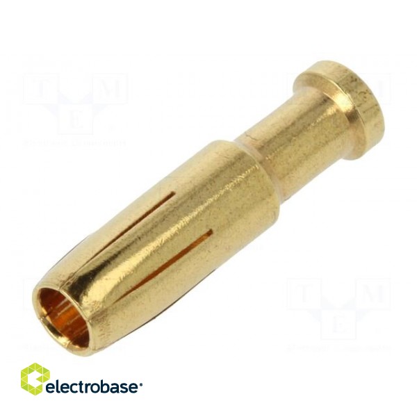Contact | female | 6mm2 | 10AWG | gold-plated | crimped | bulk | for cable