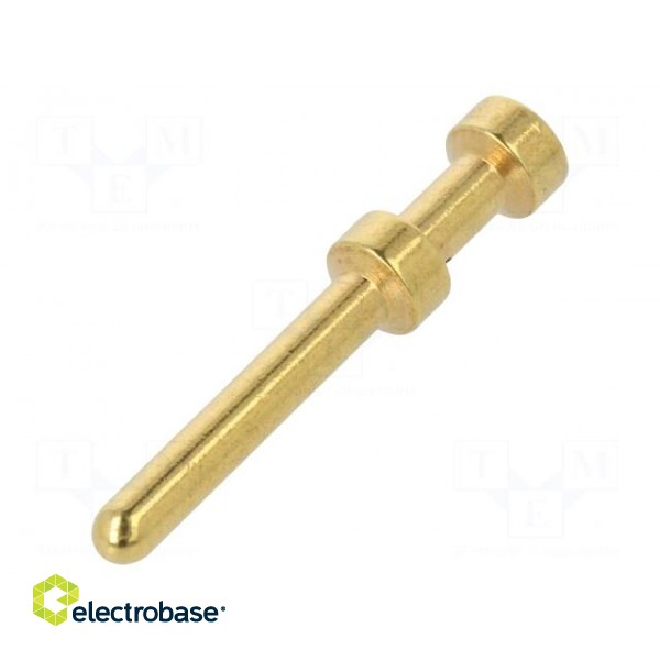 Contact | male | copper alloy | gold-plated | 0.37mm2 | 22AWG | bulk