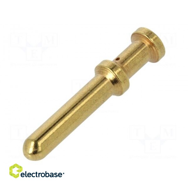Contact | male | copper alloy | gold-plated | 4mm2 | 12AWG | bulk | 40A