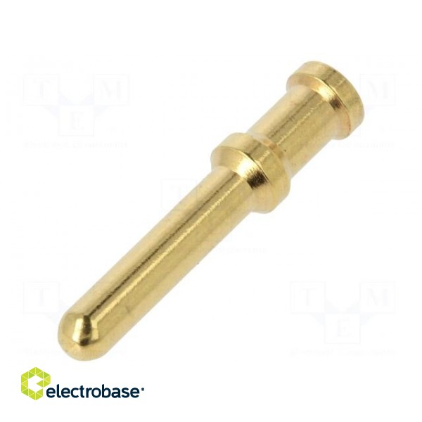 Contact | male | 6mm2 | 10AWG | gold-plated | crimped | bulk | for cable