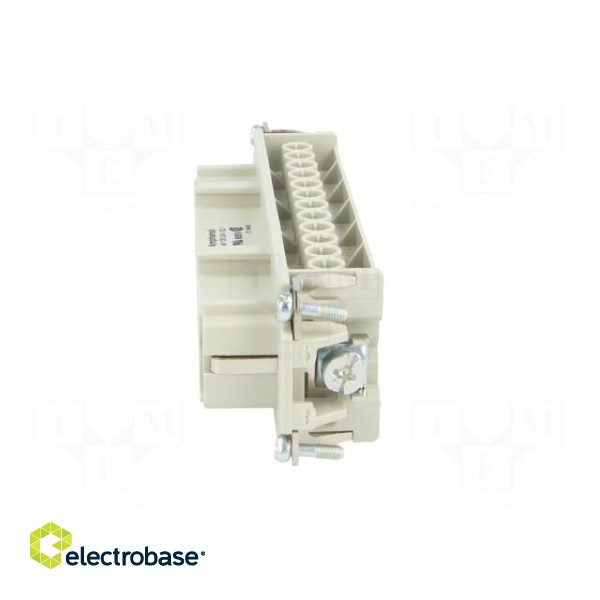 Connector: HDC | contact insert | female | C146 | PIN: 24 | 24+PE | 16A image 3