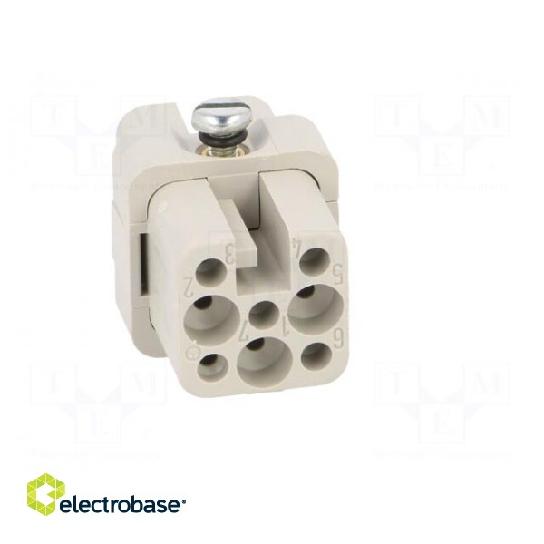 Connector: HDC | contact insert | female | C146 | PIN: 7 | size A3 image 9