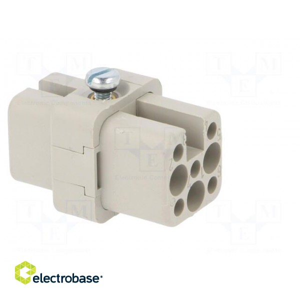 Connector: HDC | contact insert | female | C146,heavy|mate D | PIN: 8 paveikslėlis 8
