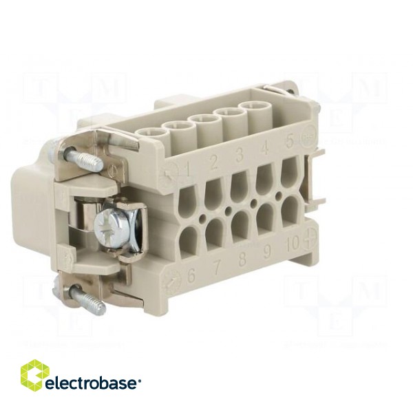 Connector: HDC | contact insert | male | C146 | PIN: 10 | 10+PE | size E10 paveikslėlis 4