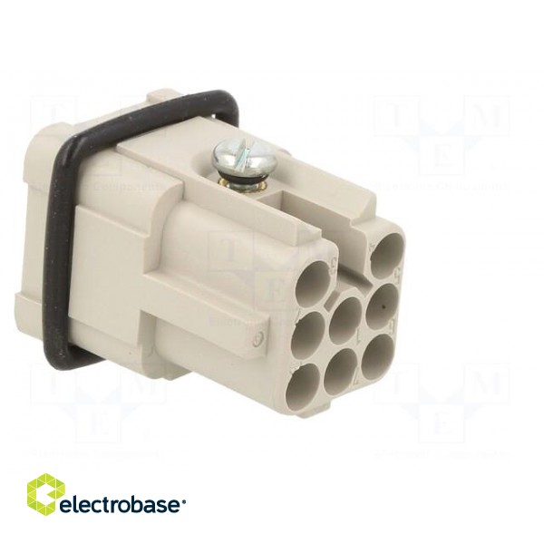 Connector: HDC | contact insert | male | C146 | PIN: 7 | size A3 | 21x21mm paveikslėlis 4