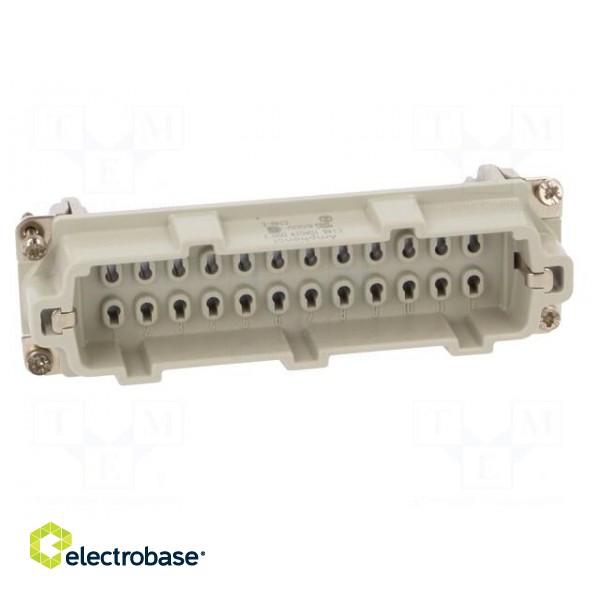 Connector: HDC | contact insert | male | C146,heavy|mate E | PIN: 24 paveikslėlis 9