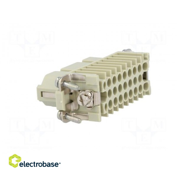 Connector: HDC | contact insert | female | Han® D | PIN: 25 | 25+PE | 10A image 4