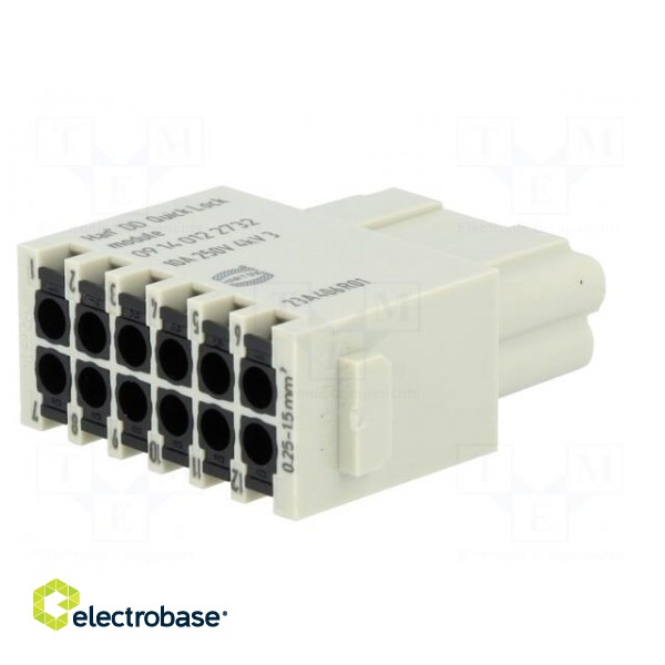 Connector: HDC | module | female | Han-Modular® | PIN: 12 | 10A | 250V image 6