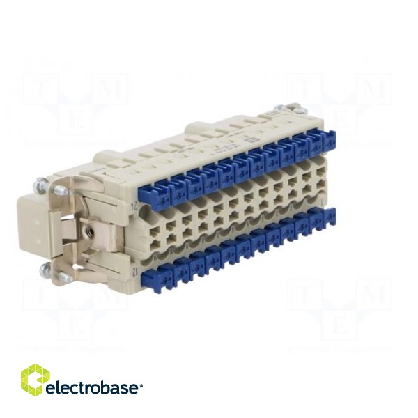 Connector: HDC | contact insert | male | Han® ES Press | PIN: 24 | 24+PE image 4