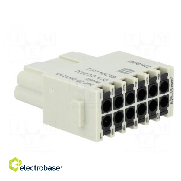 Connector: HDC | module | female | Han-Modular® | PIN: 12 | 10A | 250V image 4